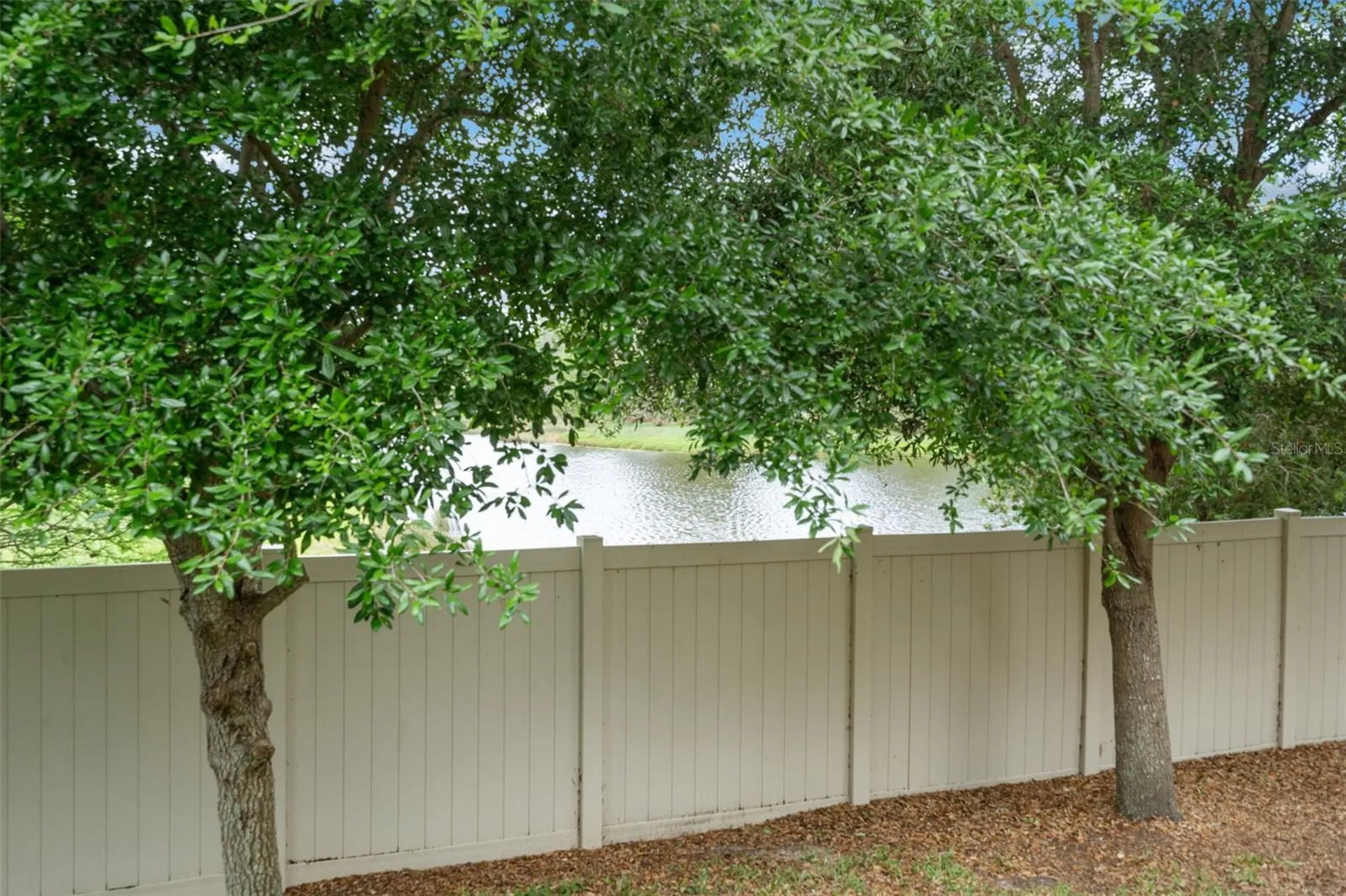 11504 Crowned Sparrow Lane Tampa FL 33626
