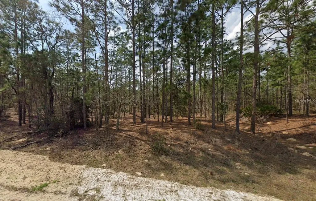 00 SW 137th Court Ocala FL 34481