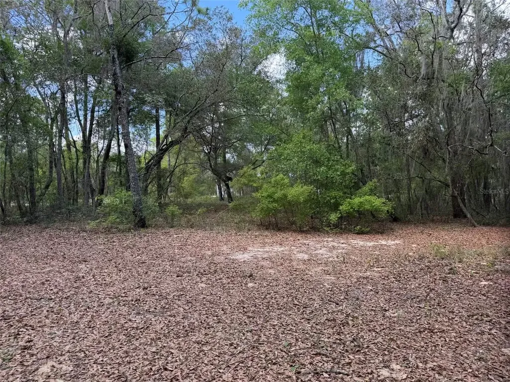 105 Race Street Hawthorne FL 32640