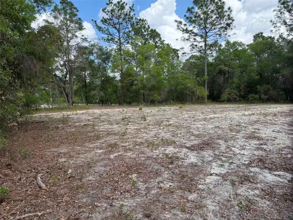 105 Race Street Hawthorne FL 32640