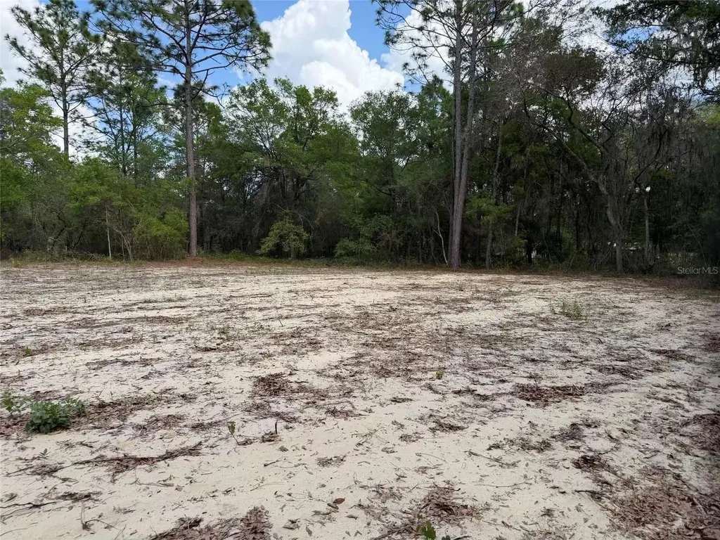 105 Race Street Hawthorne FL 32640