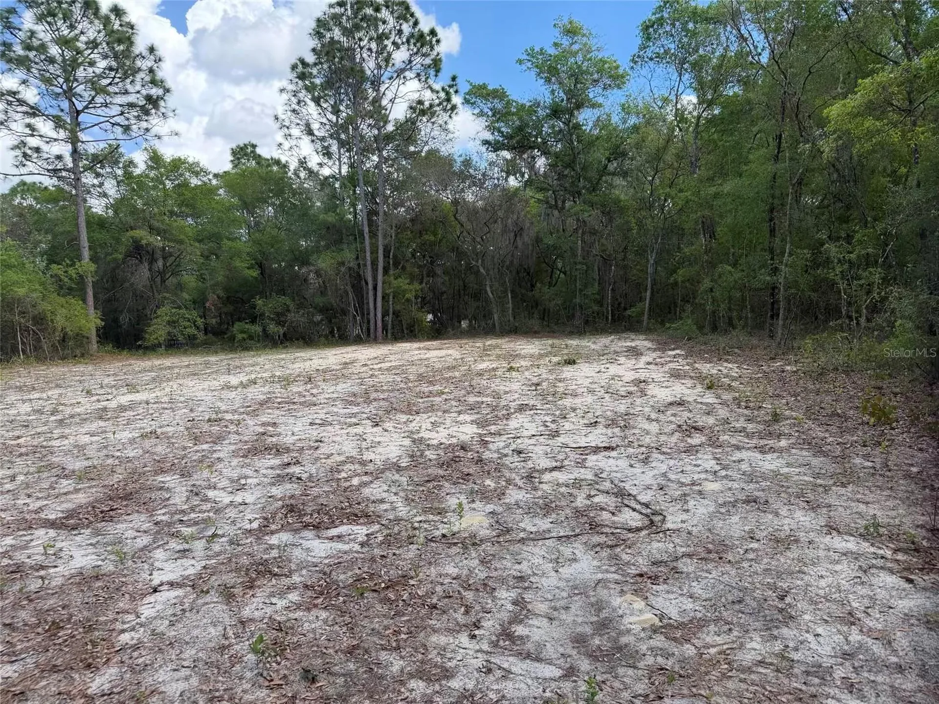 105 Race Street Hawthorne FL 32640