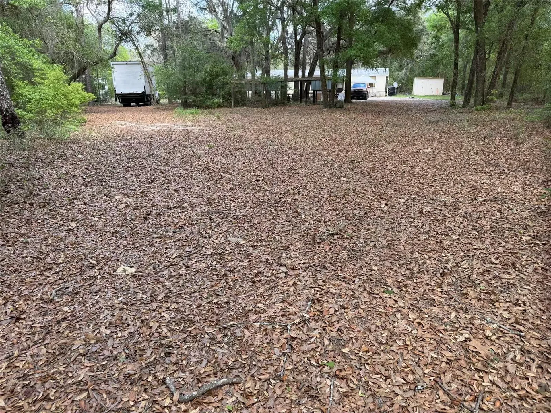 105 Race Street Hawthorne FL 32640