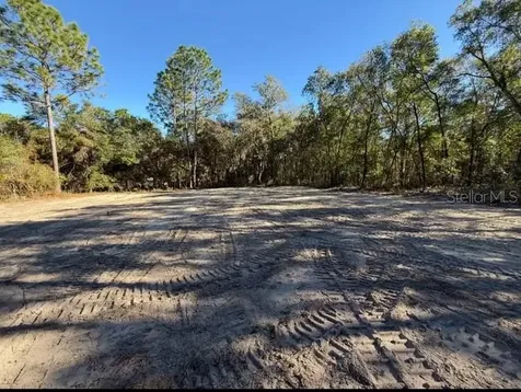 105 Race Street Hawthorne FL 32640