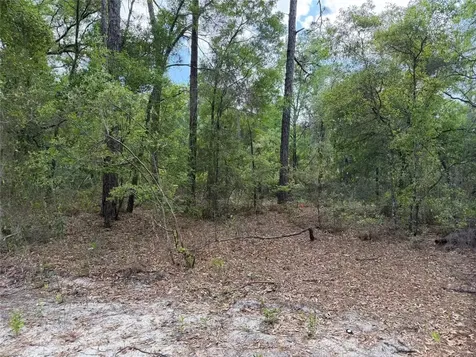 105 Race Street Hawthorne FL 32640