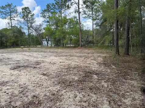 105 Race Street Hawthorne FL 32640