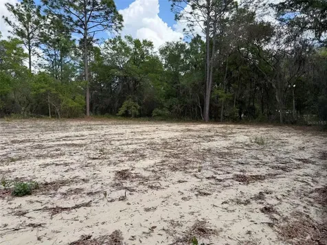 105 Race Street Hawthorne FL 32640
