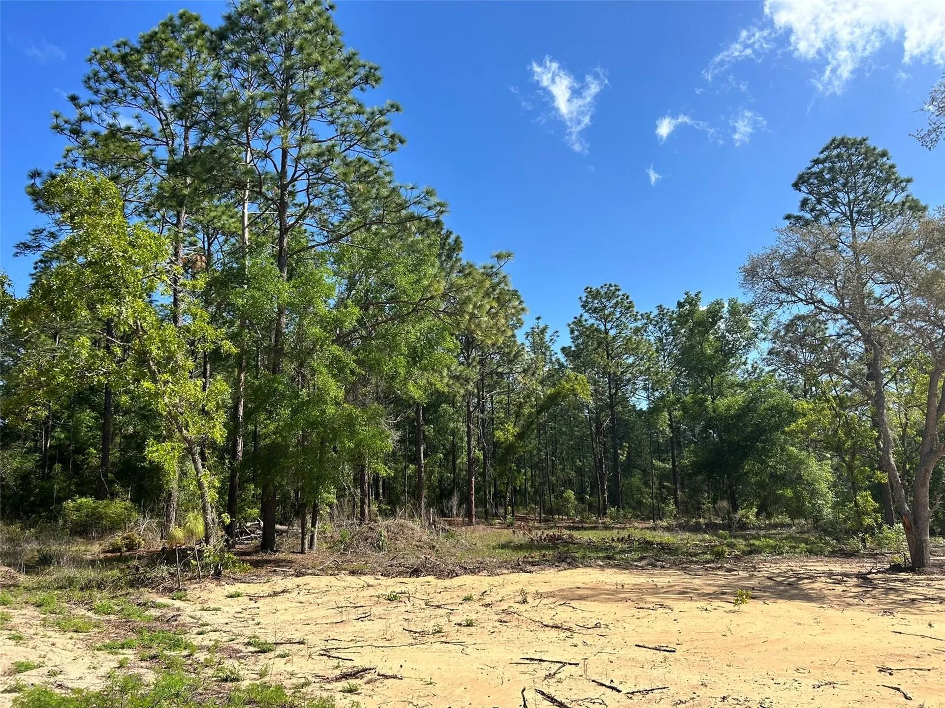 4 SW 157th Avenue Ocala FL 34481