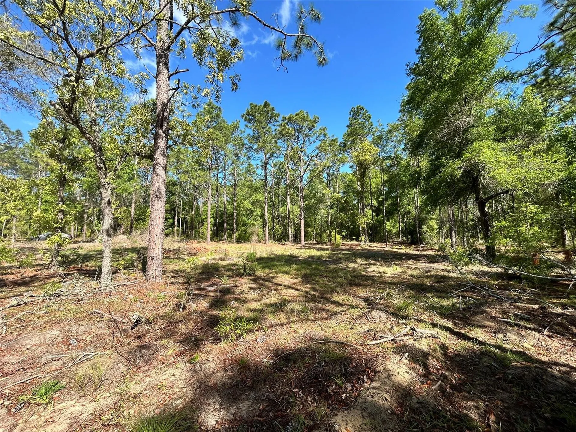 4 SW 157th Avenue Ocala FL 34481