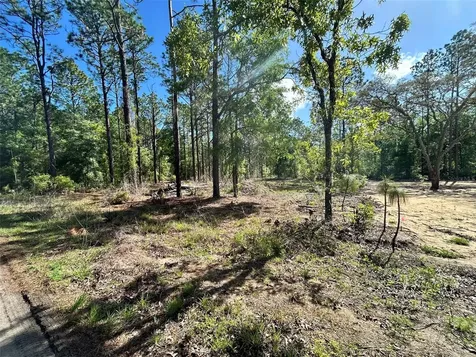 4 SW 157th Avenue Ocala FL 34481