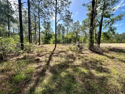 4 SW 157th Avenue Ocala FL 34481