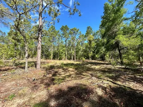 4 SW 157th Avenue Ocala FL 34481
