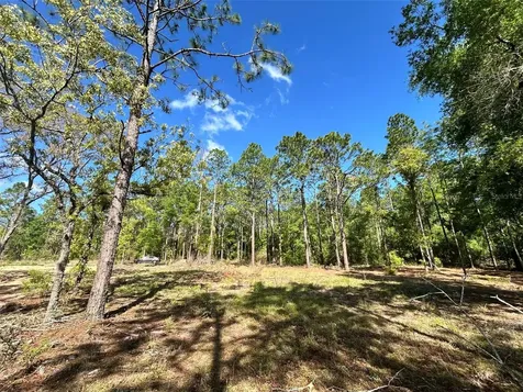 4 SW 157th Avenue Ocala FL 34481
