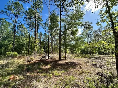 4 SW 157th Avenue Ocala FL 34481