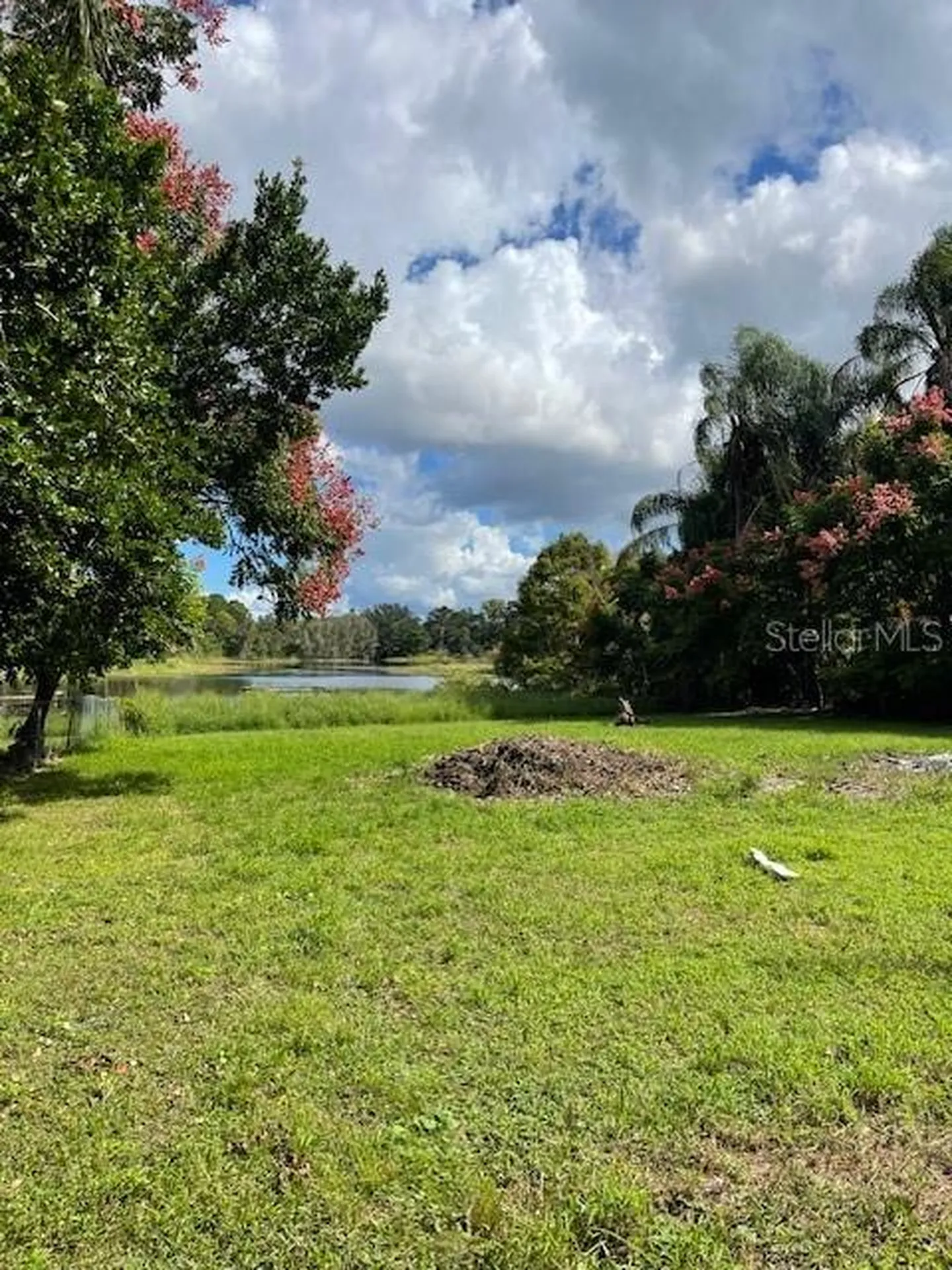 7439 Mott Avenue Orlando FL 32810