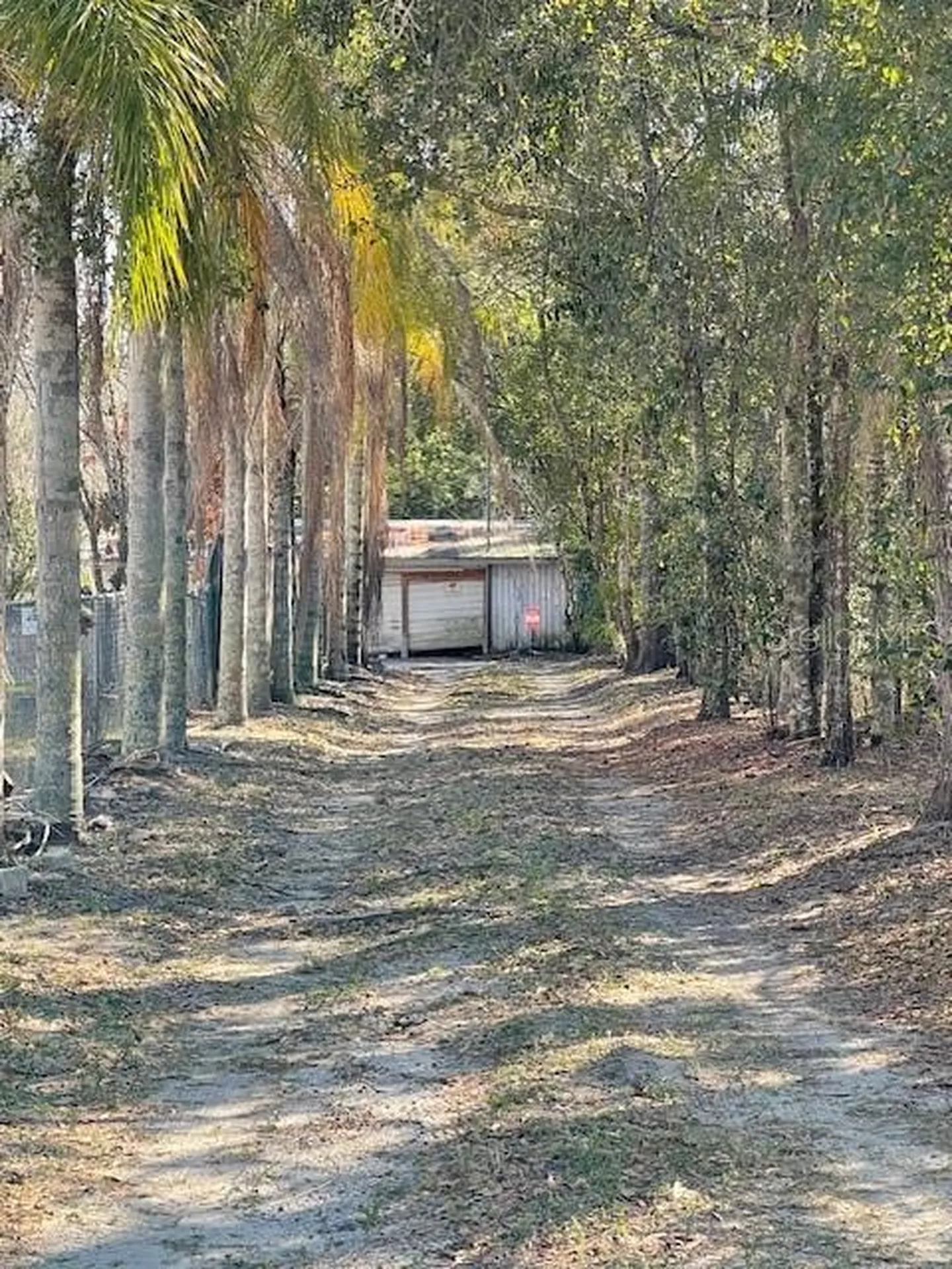 7439 Mott Avenue Orlando FL 32810