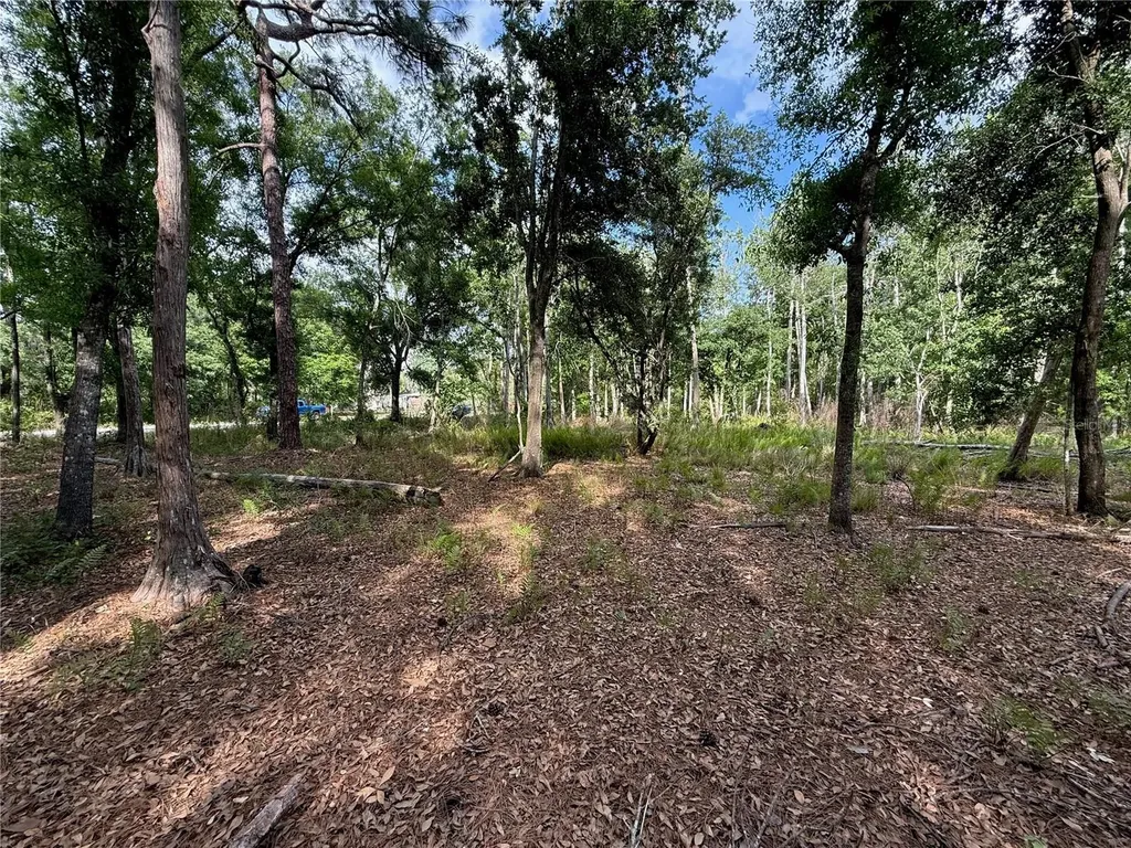 Quail Hollow Boulevard Wesley Chapel FL 33544