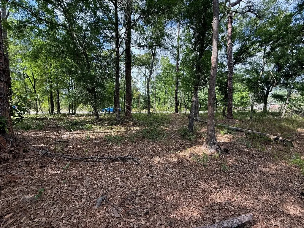 Quail Hollow Boulevard Wesley Chapel FL 33544