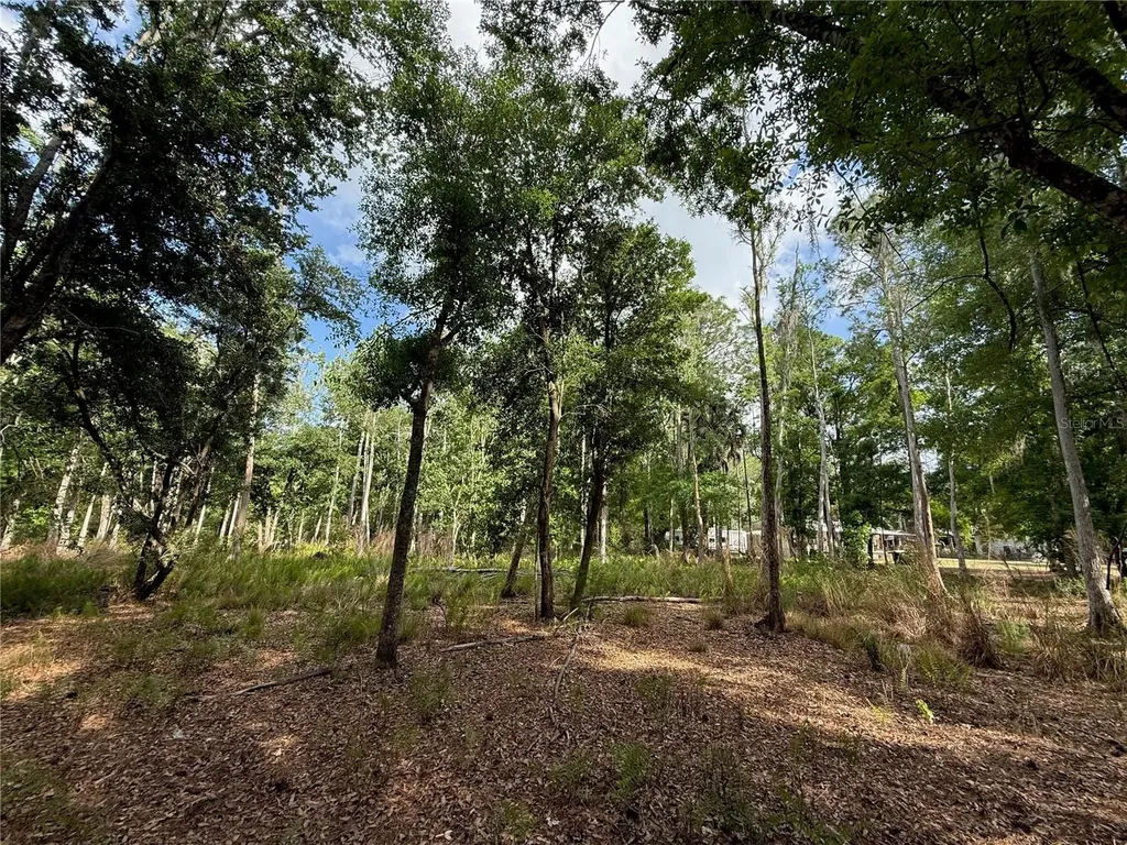 Quail Hollow Boulevard Wesley Chapel FL 33544
