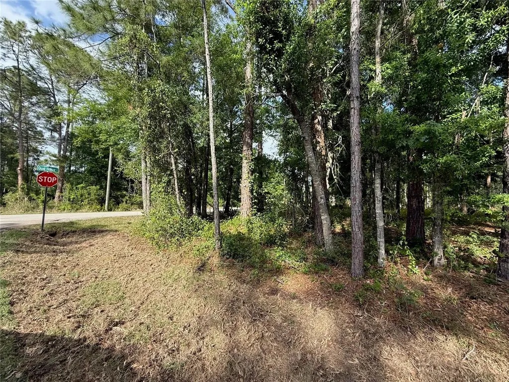 Quail Hollow Boulevard Wesley Chapel FL 33544