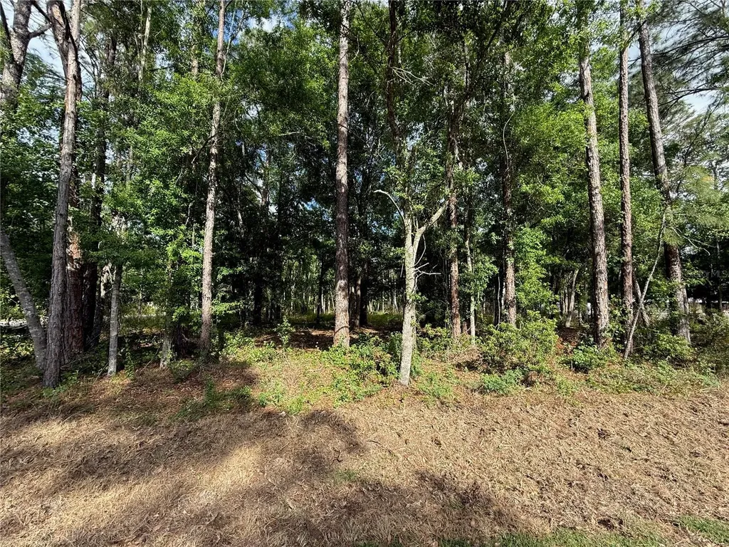 Quail Hollow Boulevard Wesley Chapel FL 33544