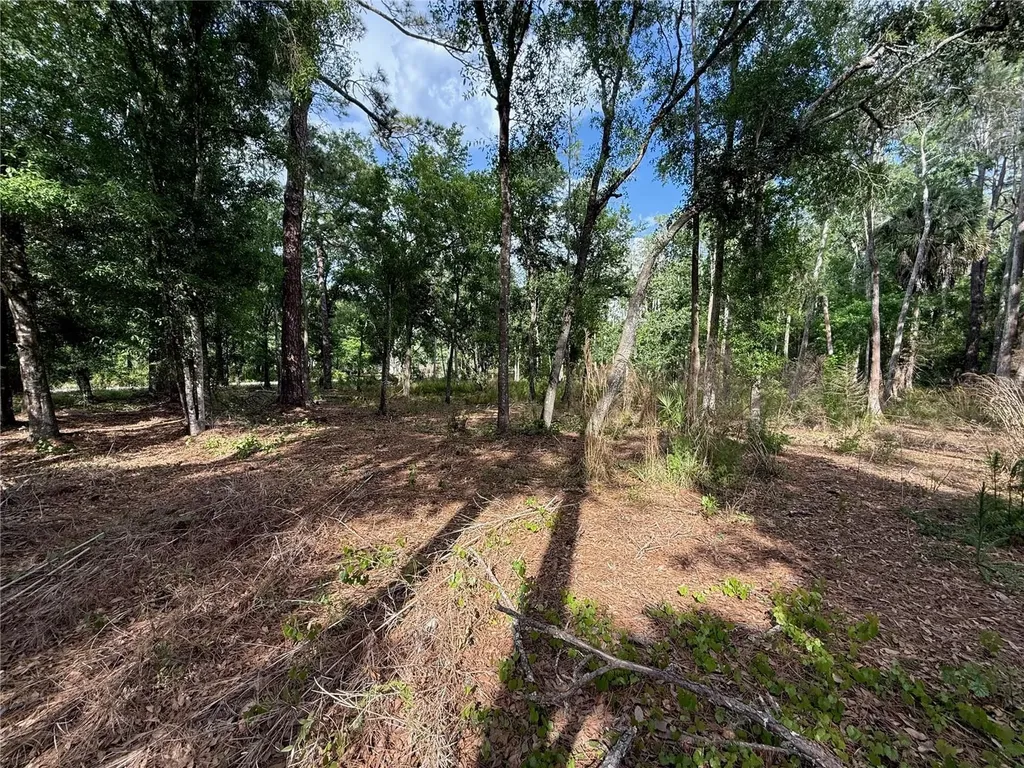 Quail Hollow Boulevard Wesley Chapel FL 33544