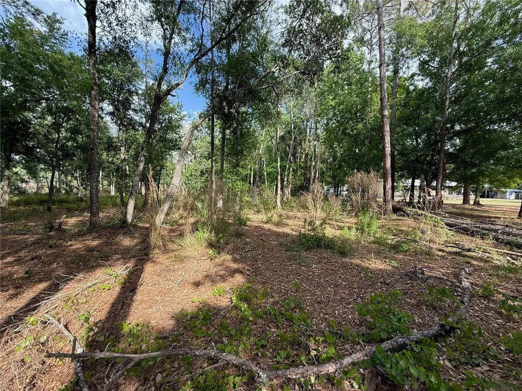 Quail Hollow Boulevard Wesley Chapel FL 33544