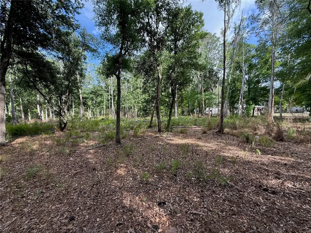 Quail Hollow Boulevard Wesley Chapel FL 33544