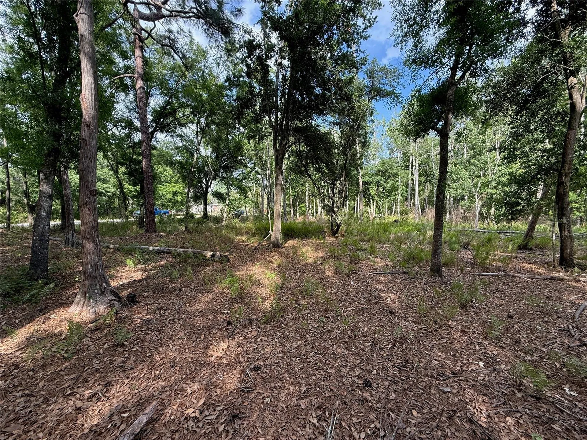 Quail Hollow Boulevard Wesley Chapel FL 33544