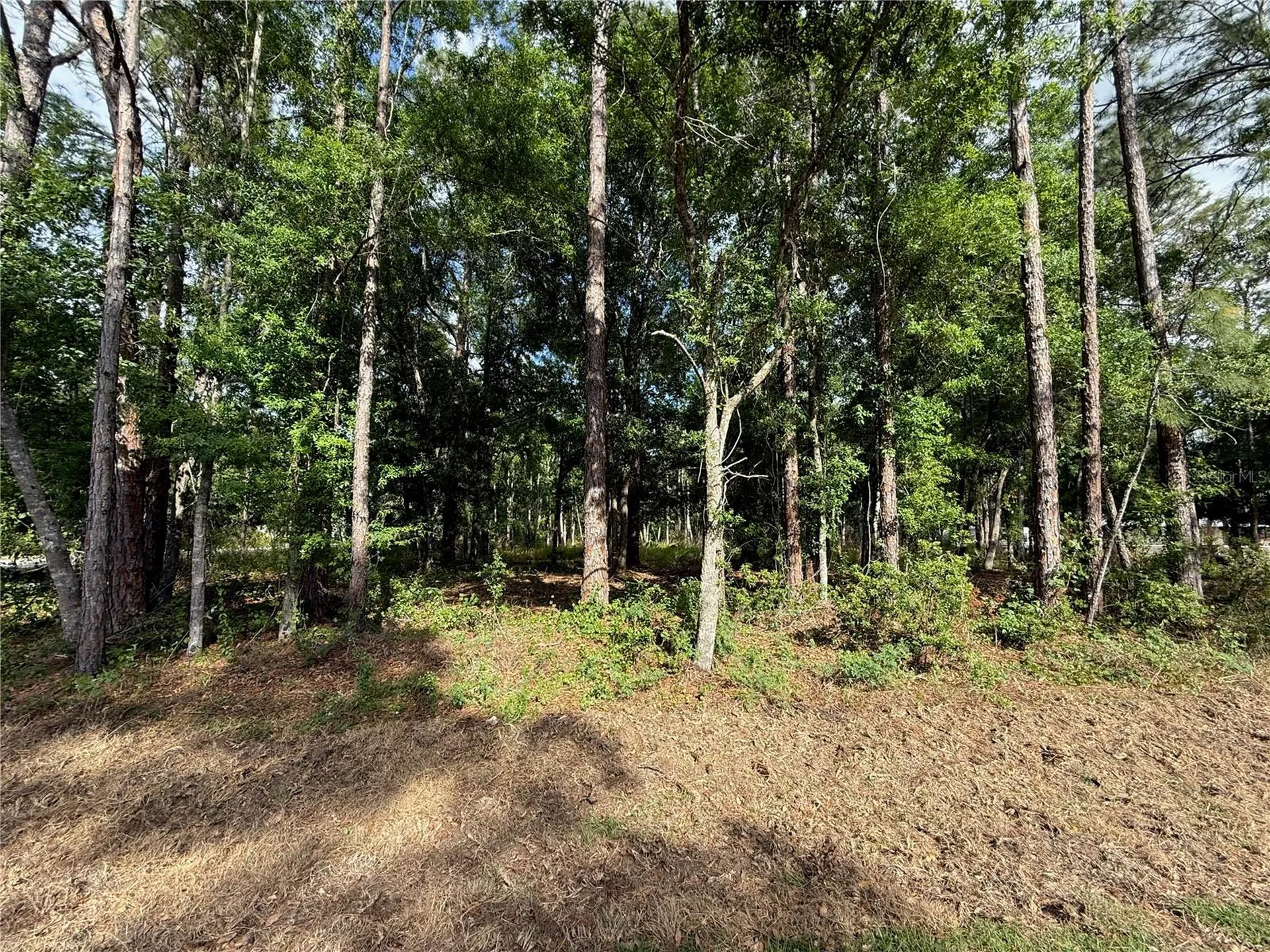 Quail Hollow Boulevard Wesley Chapel FL 33544