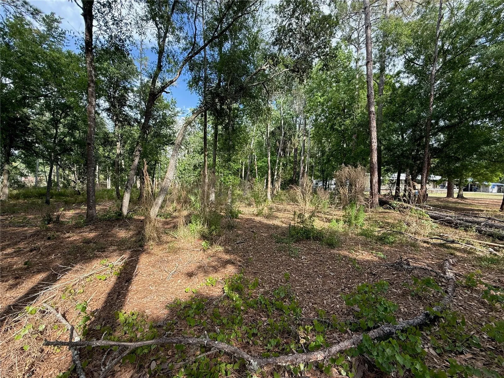 Quail Hollow Boulevard Wesley Chapel FL 33544