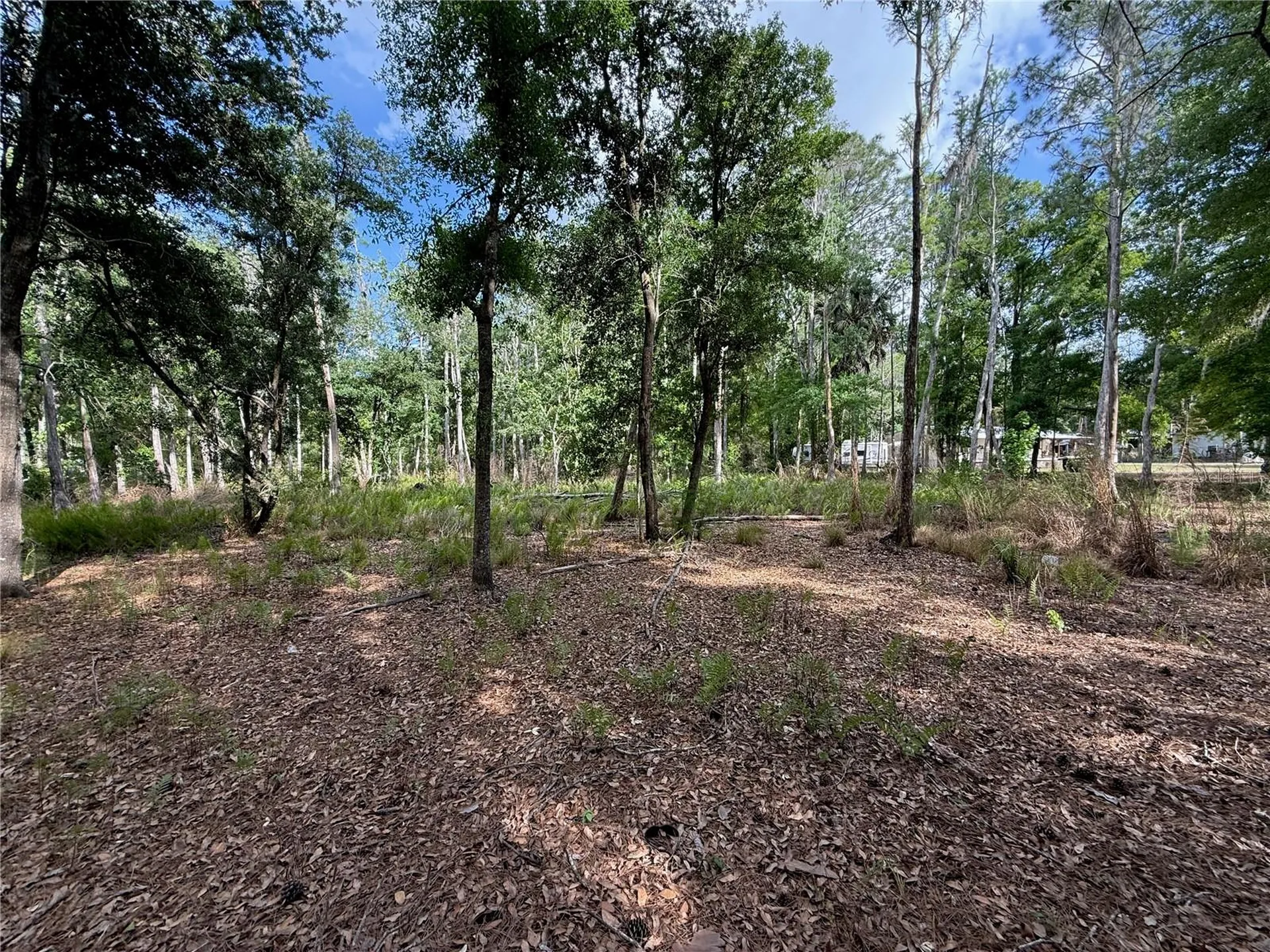Quail Hollow Boulevard Wesley Chapel FL 33544