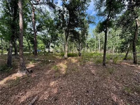 Quail Hollow Boulevard Wesley Chapel FL 33544