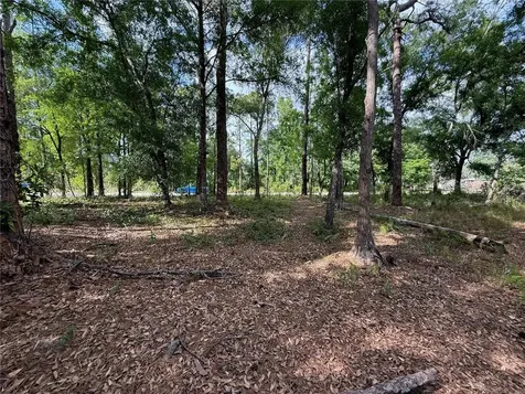 Quail Hollow Boulevard Wesley Chapel FL 33544