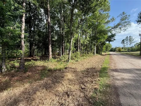 Quail Hollow Boulevard Wesley Chapel FL 33544