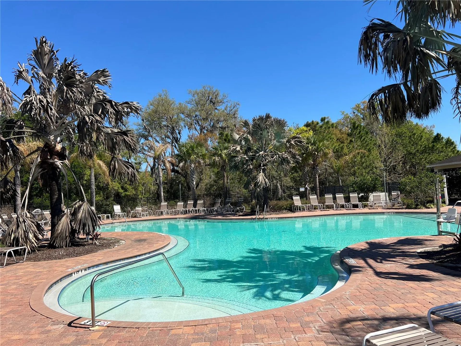36882 Goffaux Loop Zephyrhills FL 33541