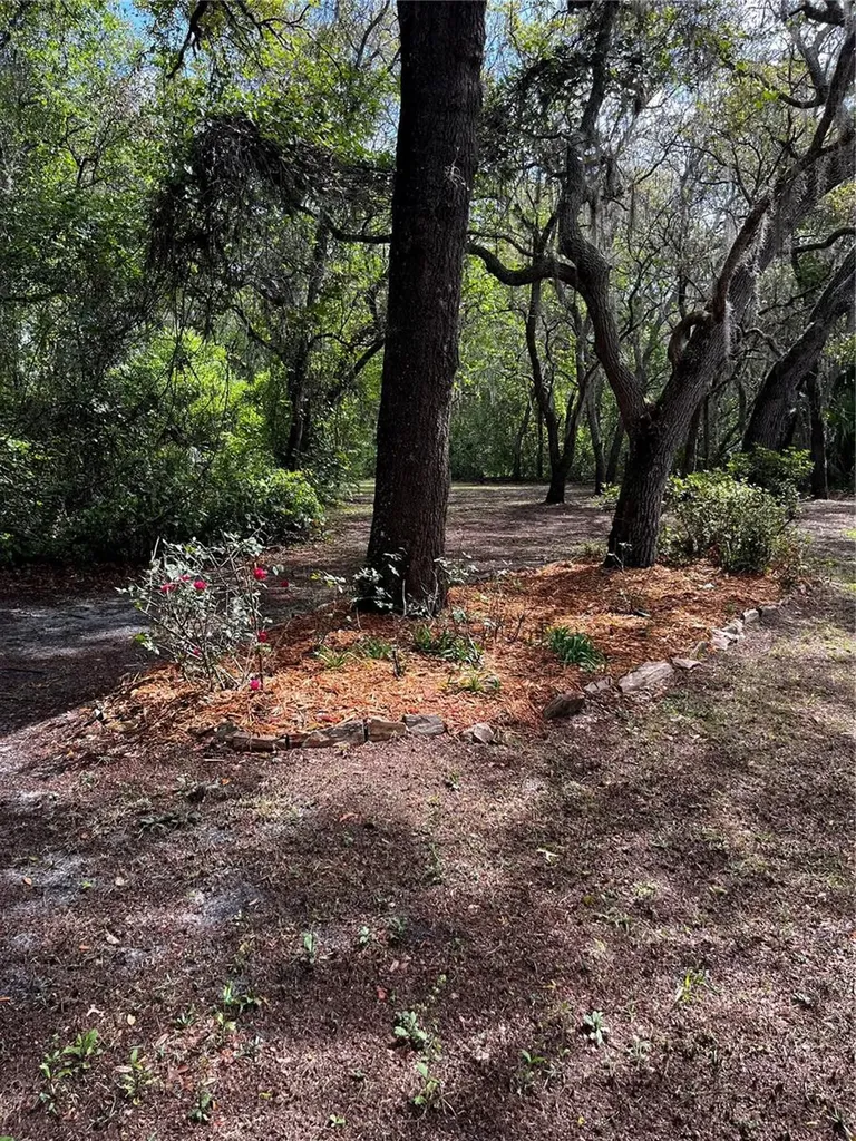 29716 Deerwood Farms Road Sorrento FL 32776