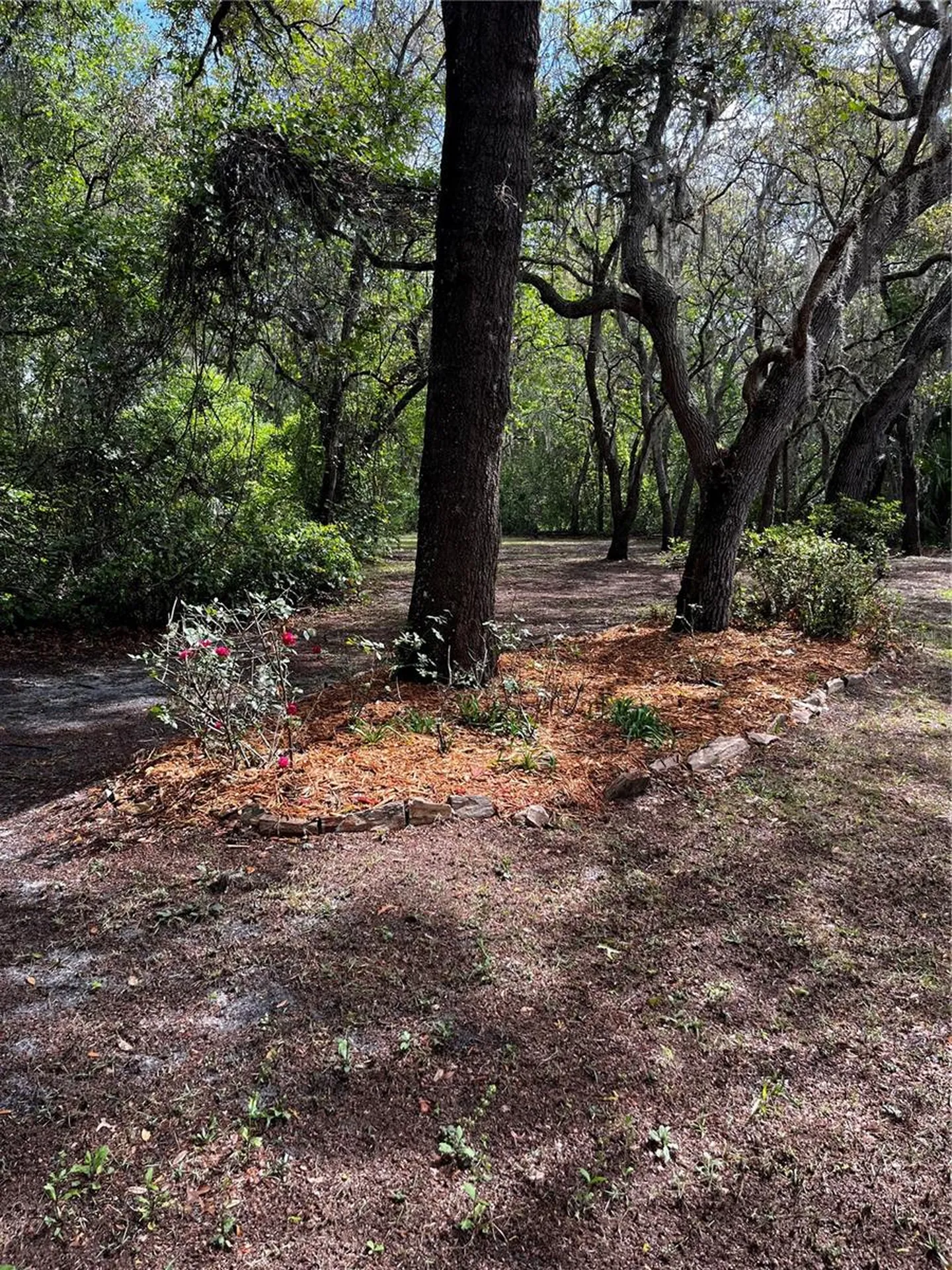 29716 Deerwood Farms Road Sorrento FL 32776