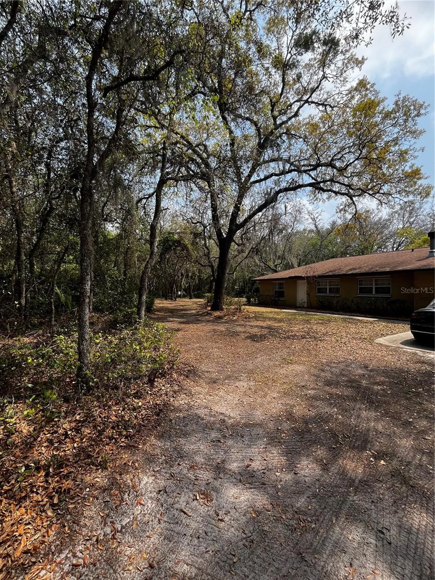 29716 Deerwood Farms Road Sorrento FL 32776