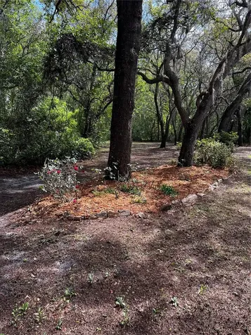 29716 Deerwood Farms Road Sorrento FL 32776