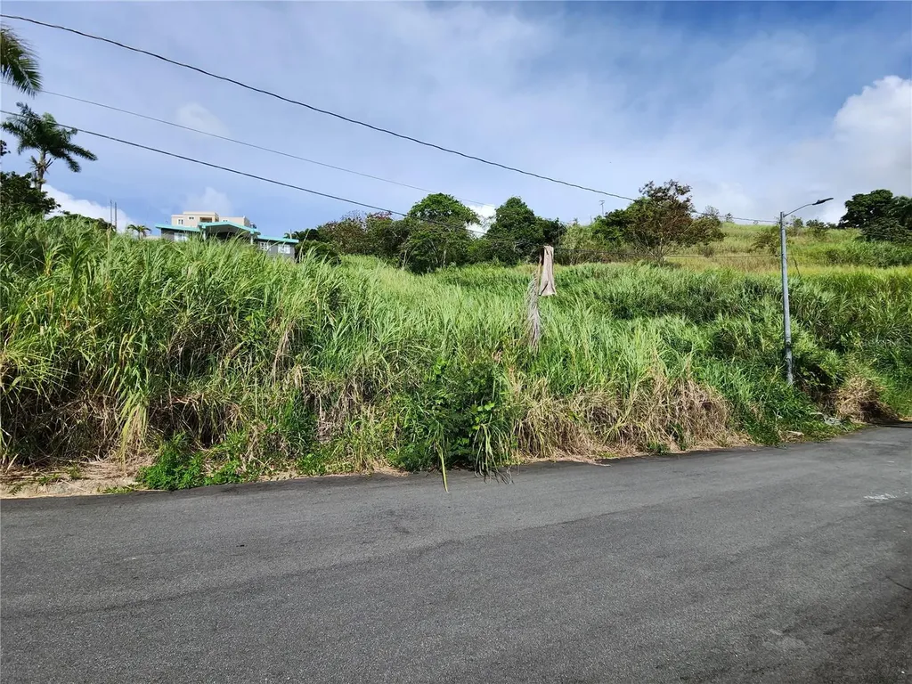 Urb Valle Imperio Lote 5 Bayamon PR 00957