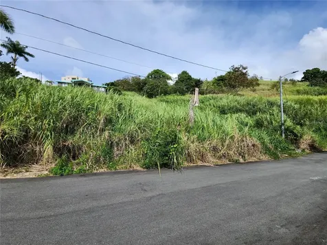 Urb Valle Imperio Lote 5 Bayamon PR 00957