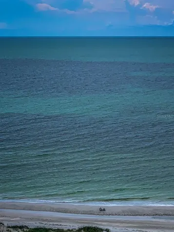 1290 Gulf Boulevard Clearwater Beach FL 33767