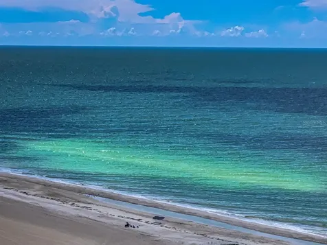 1290 Gulf Boulevard Clearwater Beach FL 33767