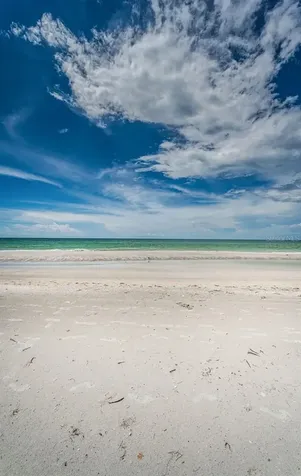 1290 Gulf Boulevard Clearwater Beach FL 33767