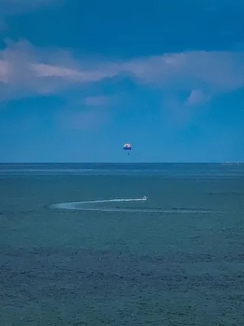 1290 Gulf Boulevard Clearwater Beach FL 33767