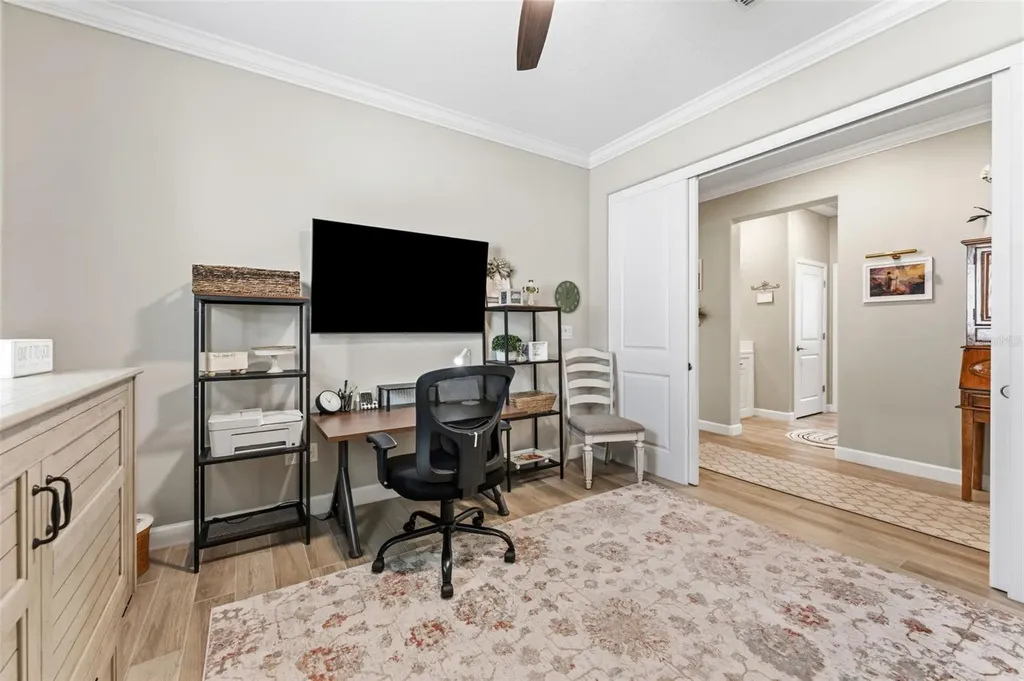 31493 Cannon Rush Drive San Antonio FL 33576