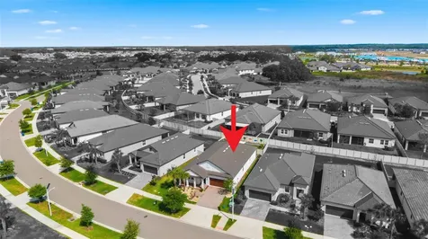 31493 Cannon Rush Drive San Antonio FL 33576