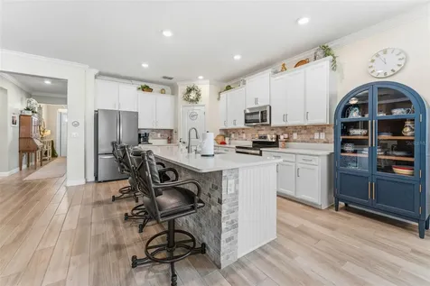 31493 Cannon Rush Drive San Antonio FL 33576