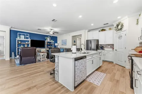 31493 Cannon Rush Drive San Antonio FL 33576